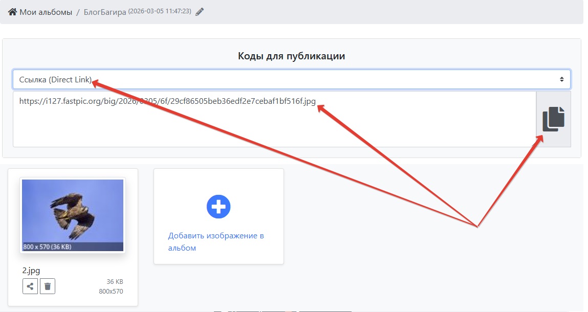 Описание картинки